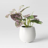 Threshold 6″ Mini Tabletop Artificial Plants