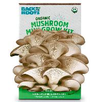 Back to the Roots Organic Pearl Oyster Mushroom Mi